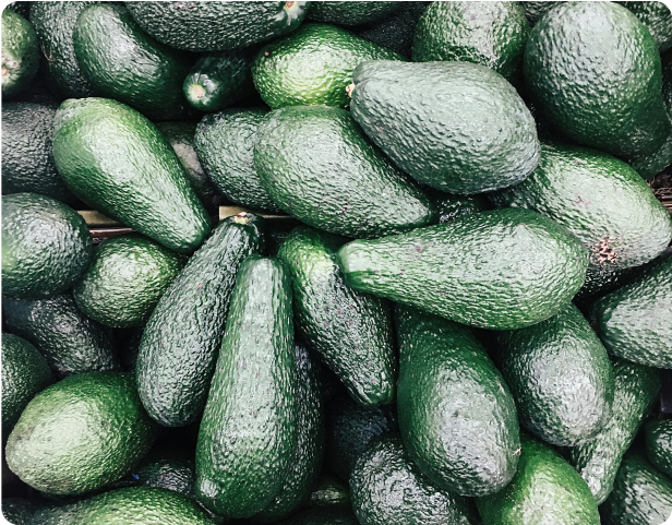 Avocado
