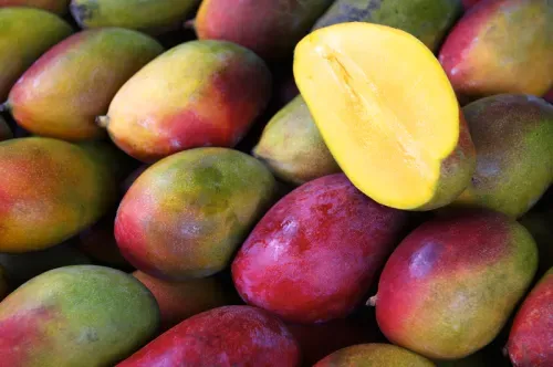 Mango