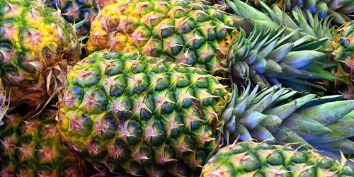 Pineapple