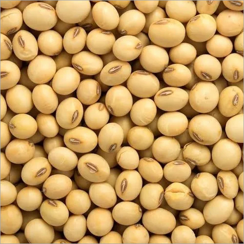 Non-GMO Soybean