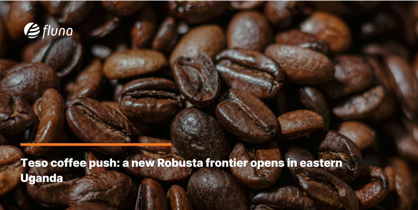 Teso coffee push: a new Robusta frontier opens in eastern Uganda