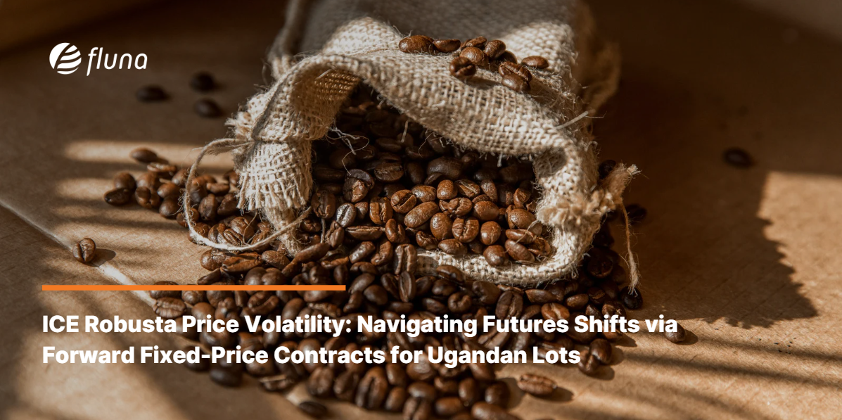 ICE Robusta Price Volatility: Navigating Futures Shifts via Forward Fixed-Price Contracts for Ugandan Lots