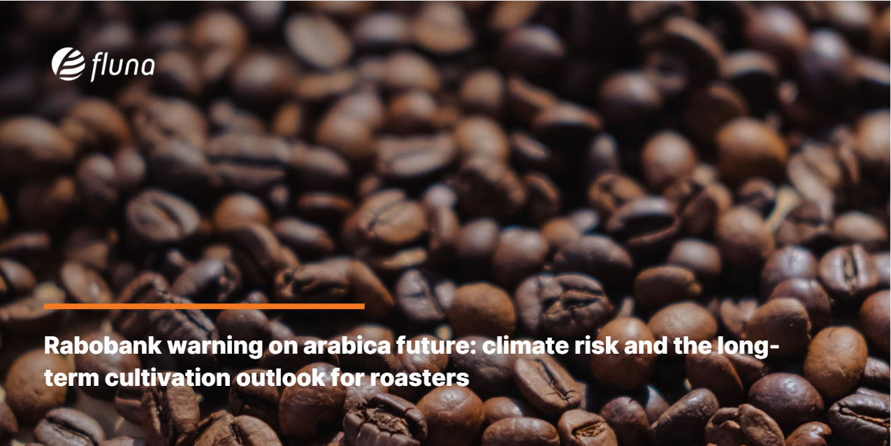 Rabobank warning on arabica future: climate risk and the long-term cultivation outlook for roasters