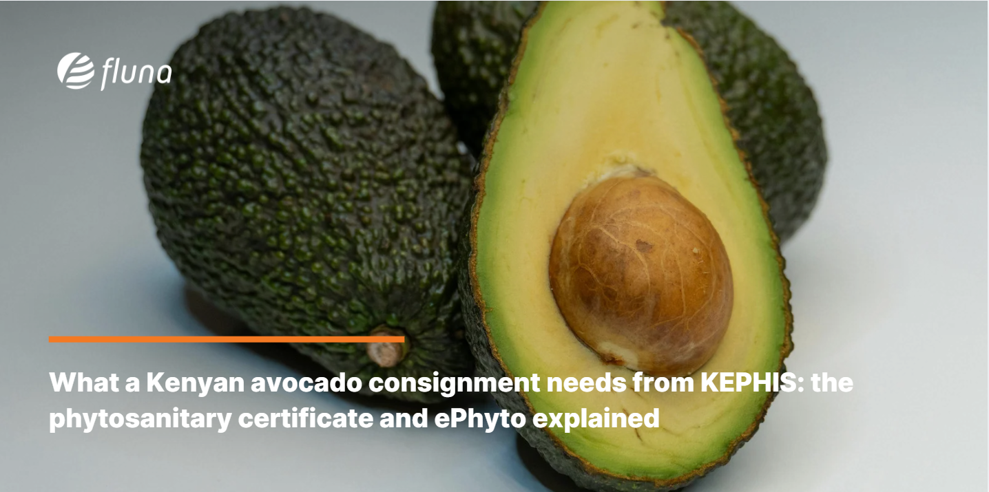 What a Kenyan avocado consignment needs from KEPHIS: the phytosanitary certificate and ePhyto explained