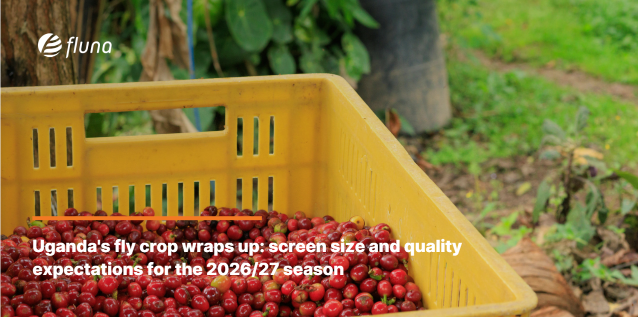 Uganda's fly crop wraps up: screen size and quality expectations for the 2026/27 season