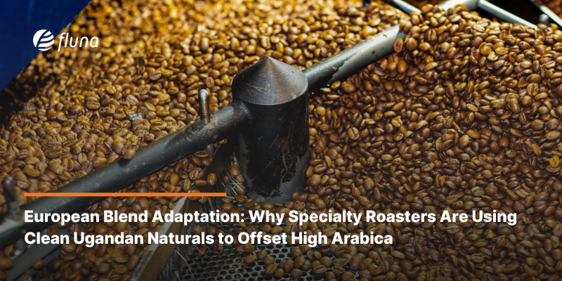 European Blend Adaptation: Why Specialty Roasters Are Using Clean Ugandan Naturals to Offset High Arabica