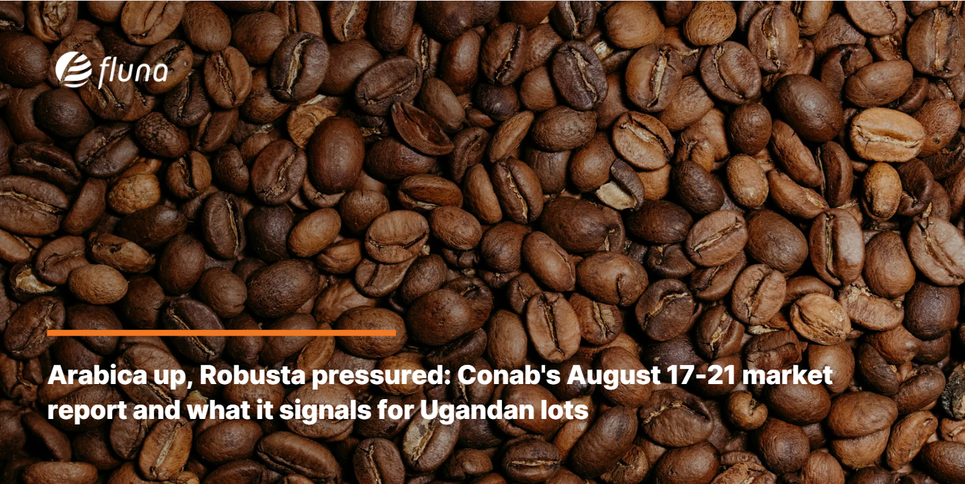 Arabica up, Robusta pressured: Conab's August 17-21 market report and what it signals for Ugandan lots