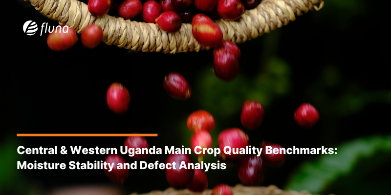 Central & Western Uganda Main Crop Quality Benchmarks: Moisture Stability and Defect Analysis