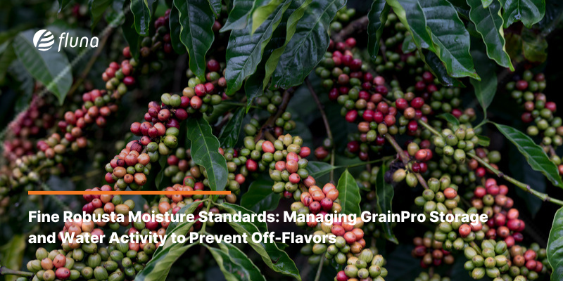 Fine Robusta Moisture Standards: Managing GrainPro Storage and Water Activity to Prevent Off-Flavors