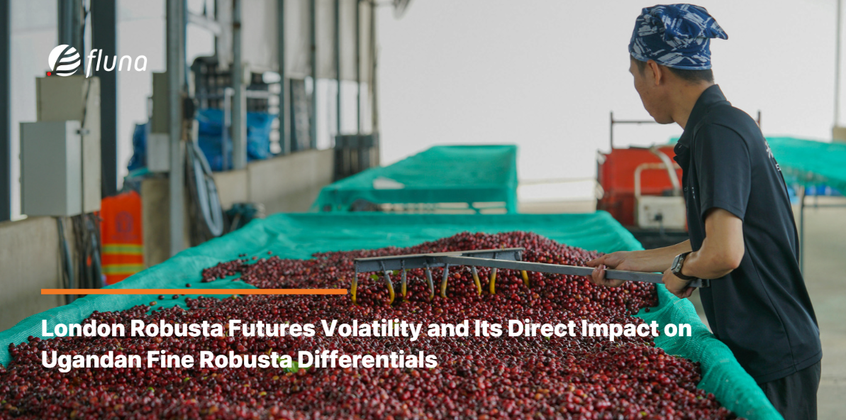 London Robusta Futures Volatility and Its Direct Impact on Ugandan Fine Robusta Differentials