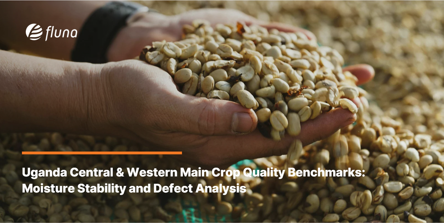 Uganda Central & Western Main Crop Quality Benchmarks: Moisture Stability and Defect Analysis