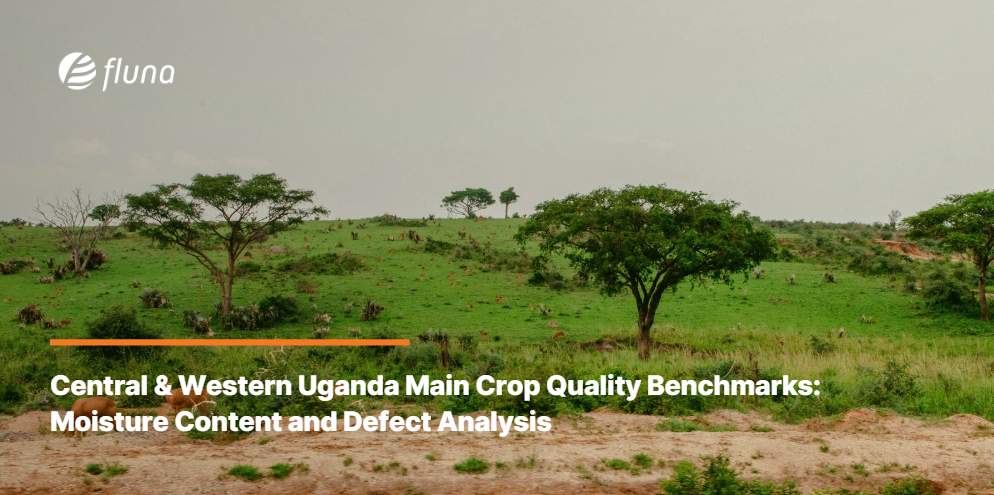 Central & Western Uganda Main Crop Quality Benchmarks: Moisture Content and Defect Analysis