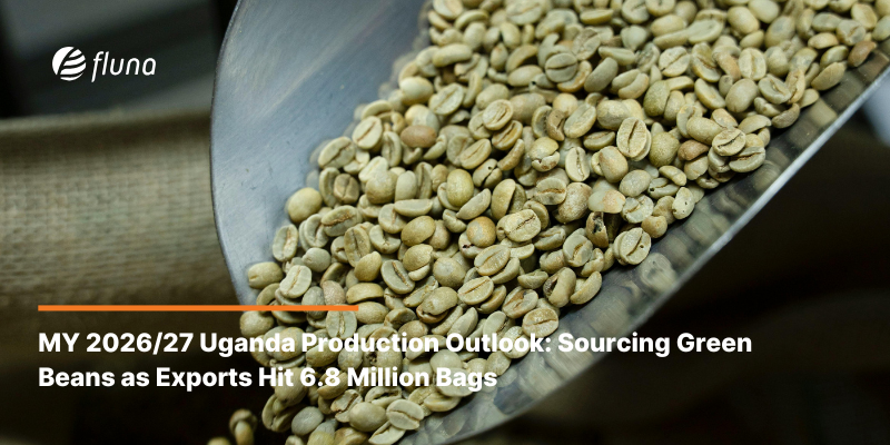 MY 2026/27 Uganda Production Outlook: Sourcing Green Beans as Exports Hit 6.8 Million Bags