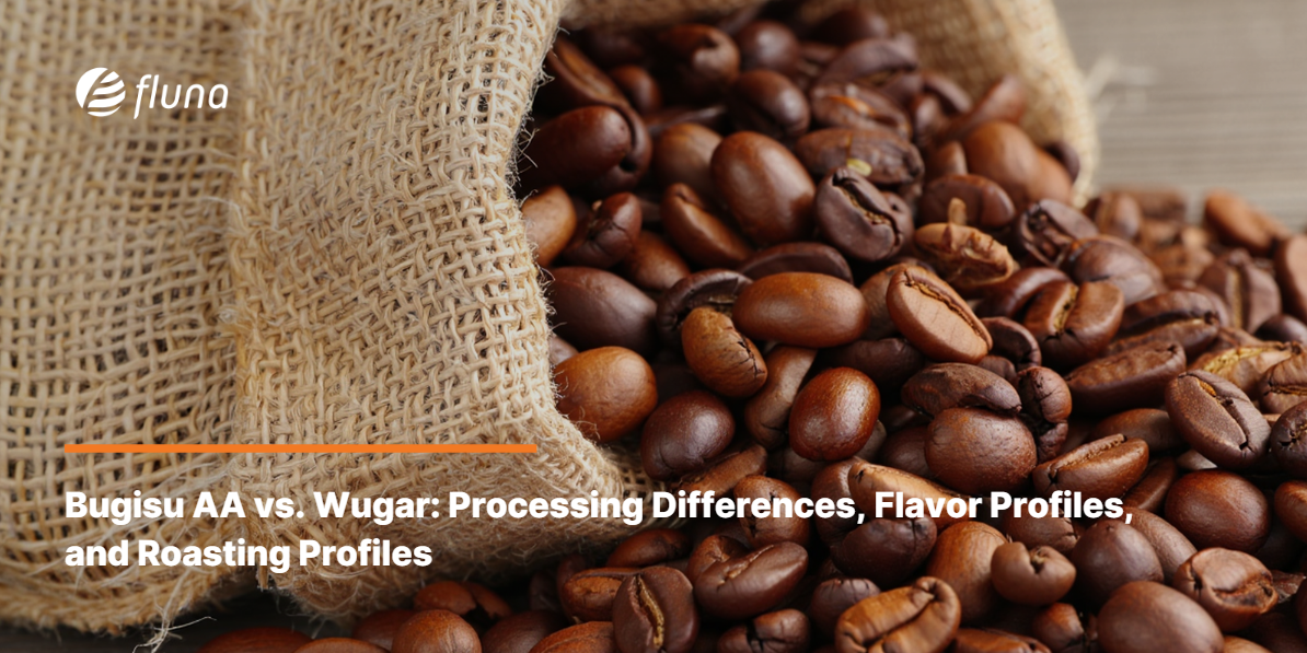 Bugisu AA vs. Wugar: Processing Differences, Flavor Profiles, and Roasting Profiles