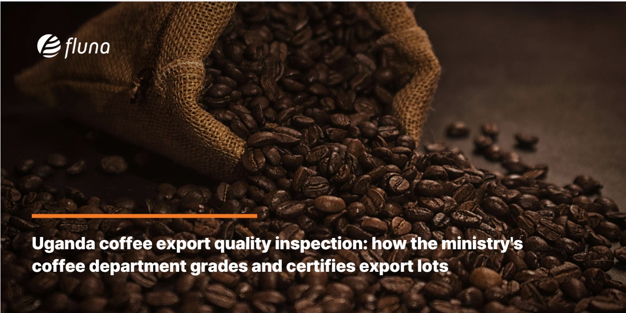 Uganda coffee export quality inspection: how the ministry's coffee department grades and certifies export lots