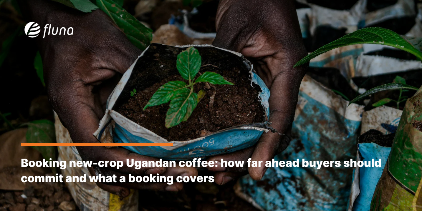 Booking new-crop Ugandan coffee: how far ahead buyers should commit and what a booking covers