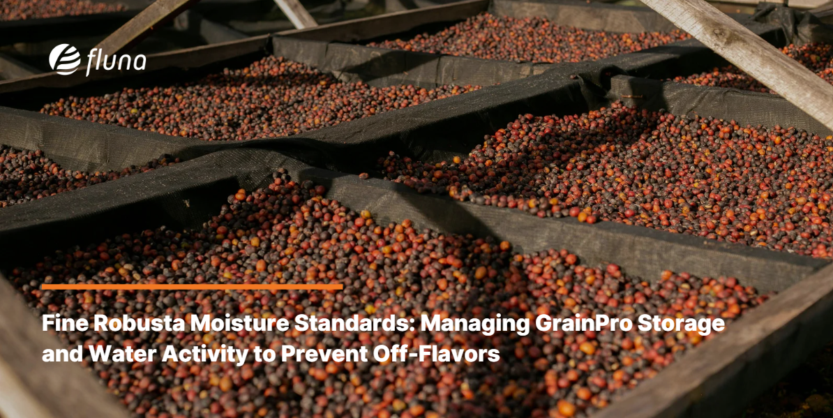 Fine Robusta Moisture Standards: Managing GrainPro Storage and Water Activity to Prevent Off-Flavors