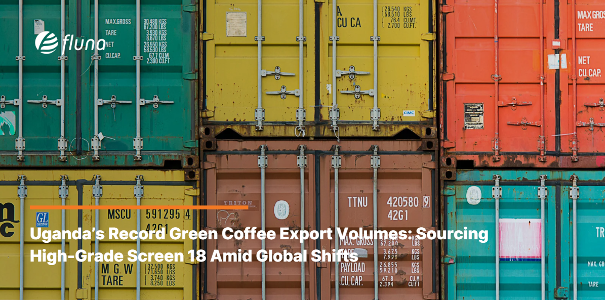 Uganda’s Record Green Coffee Export Volumes: Sourcing High-Grade Screen 18 Amid Global Shifts