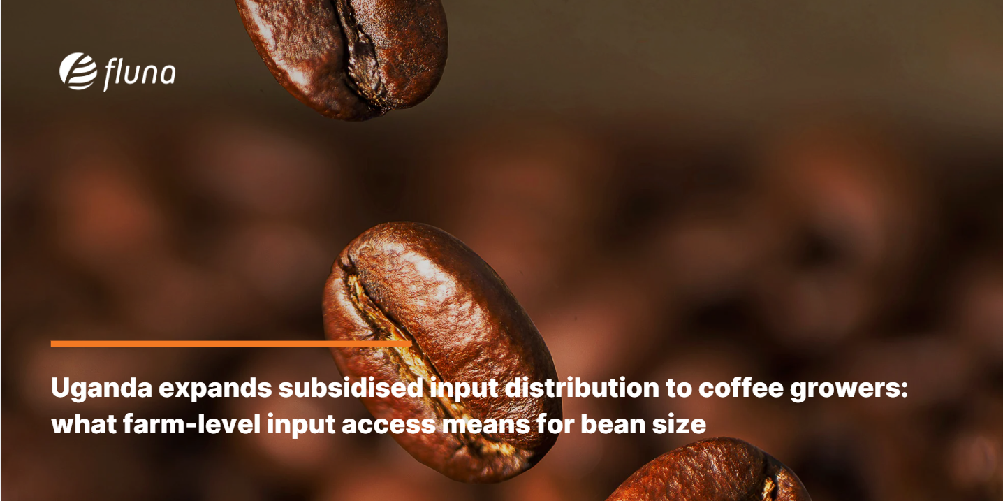 Uganda expands subsidised input distribution to coffee growers: what farm-level input access means for bean size
