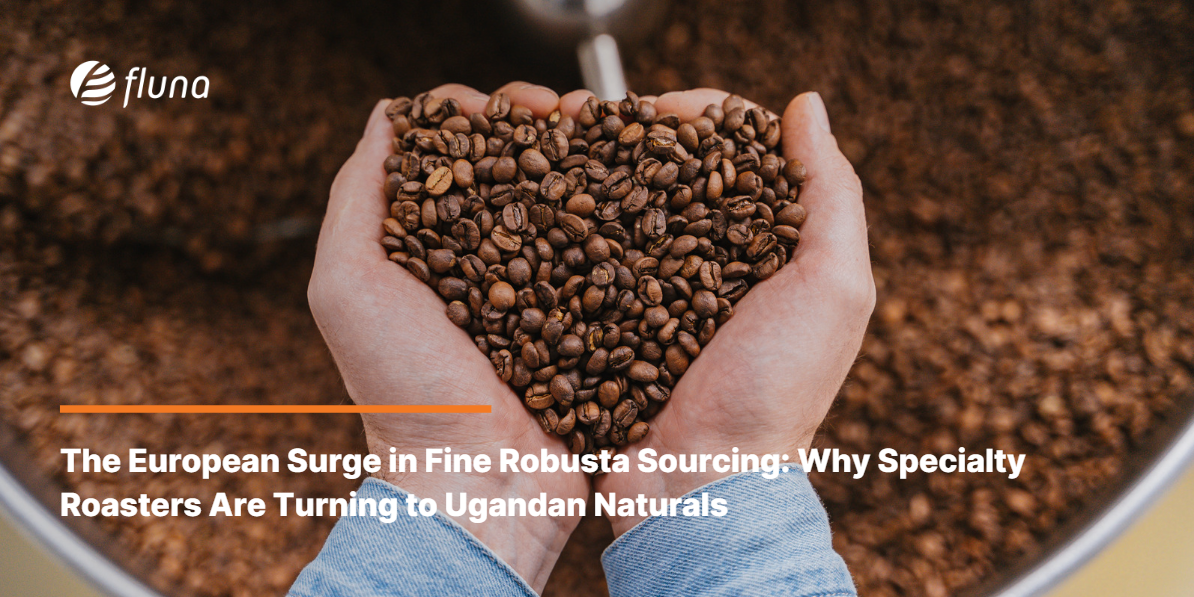 The European Surge in Fine Robusta Sourcing: Why Specialty Roasters Are Turning to Ugandan Naturals