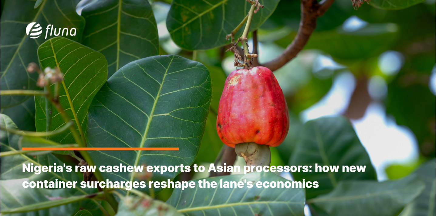 Nigeria's raw cashew exports to Asian processors: how new container surcharges reshape the lane's economics