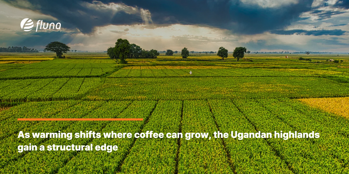 As warming shifts where coffee can grow, the Ugandan highlands gain a structural edge
